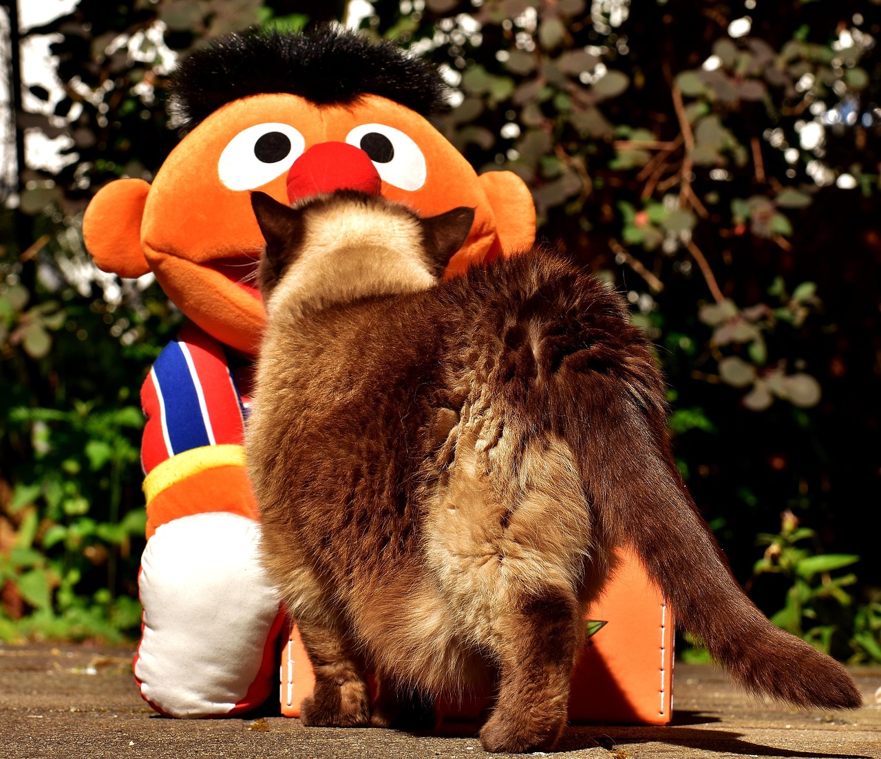 [Guida] Come il Peluche Rilassante aiuta gli adulti a gestire l'ansia quotidiana